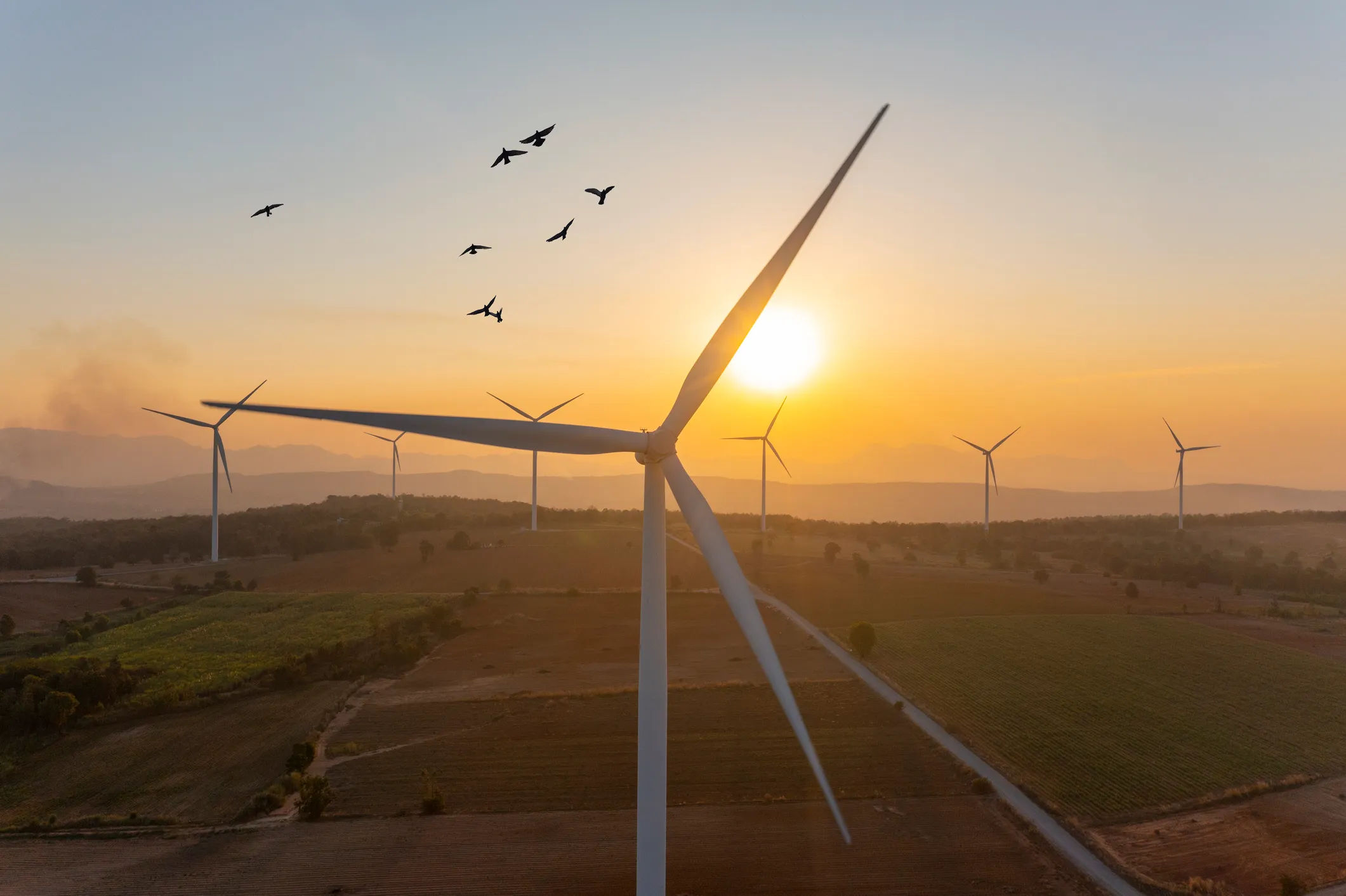 2025 Climate Tech: AI's Energy Appetite Reshapes the Sector